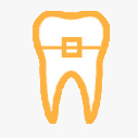 dental braces bloor
